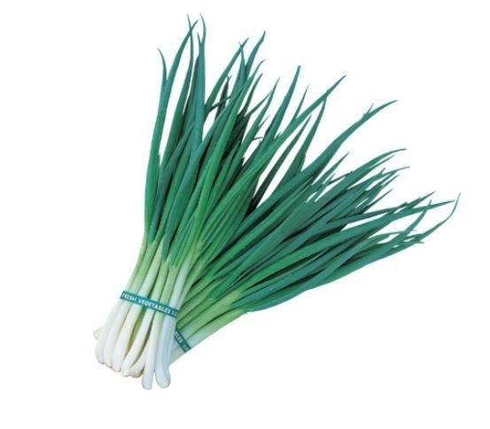 Cebola Agnus Ind.un