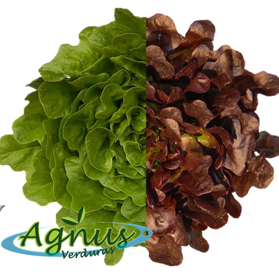 Salada Mix Jan Jan Unidade