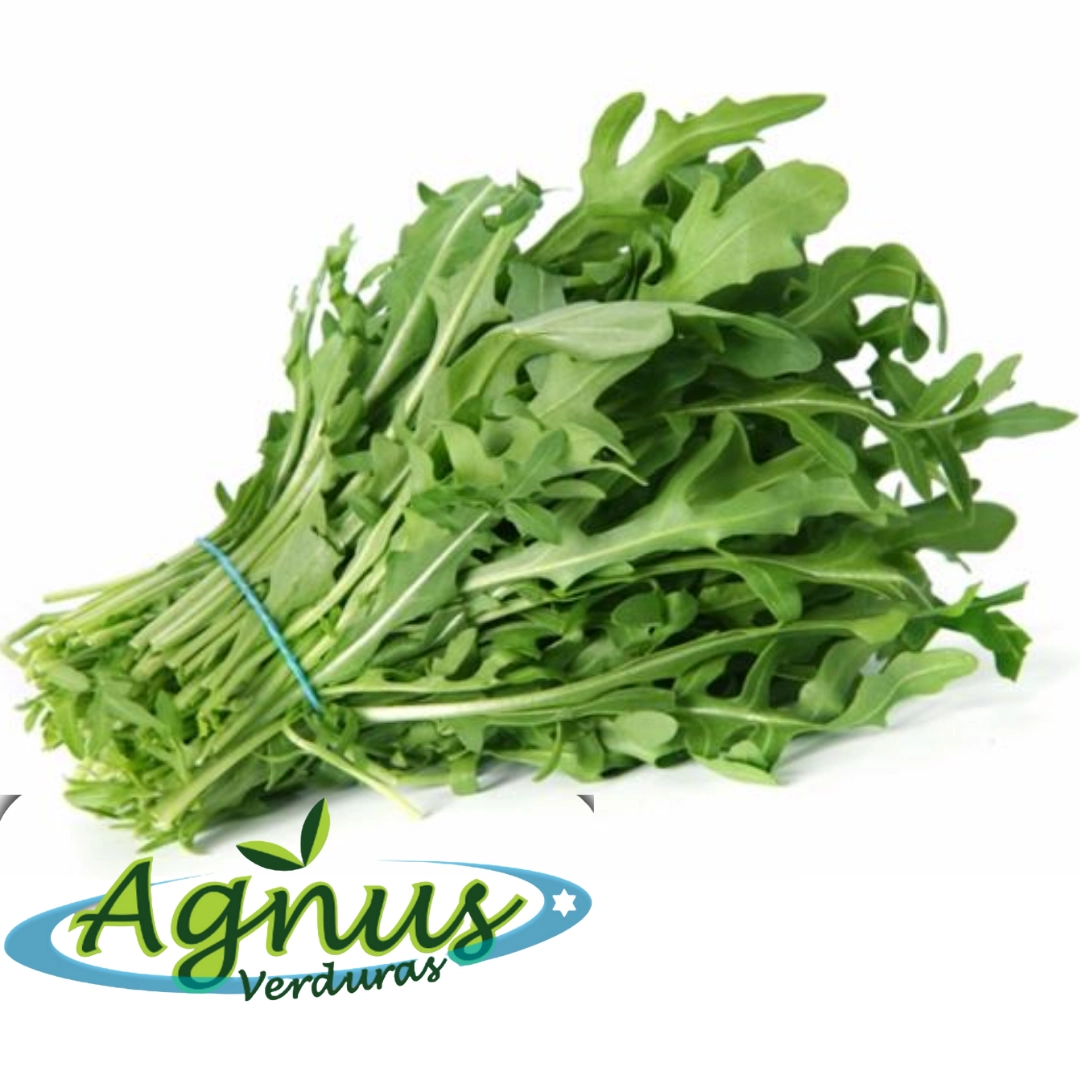 Rucula Hidrop.agnus Un