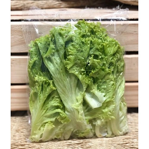 Alface Crespa Green Frizziy Hidro Makiyama Unidade