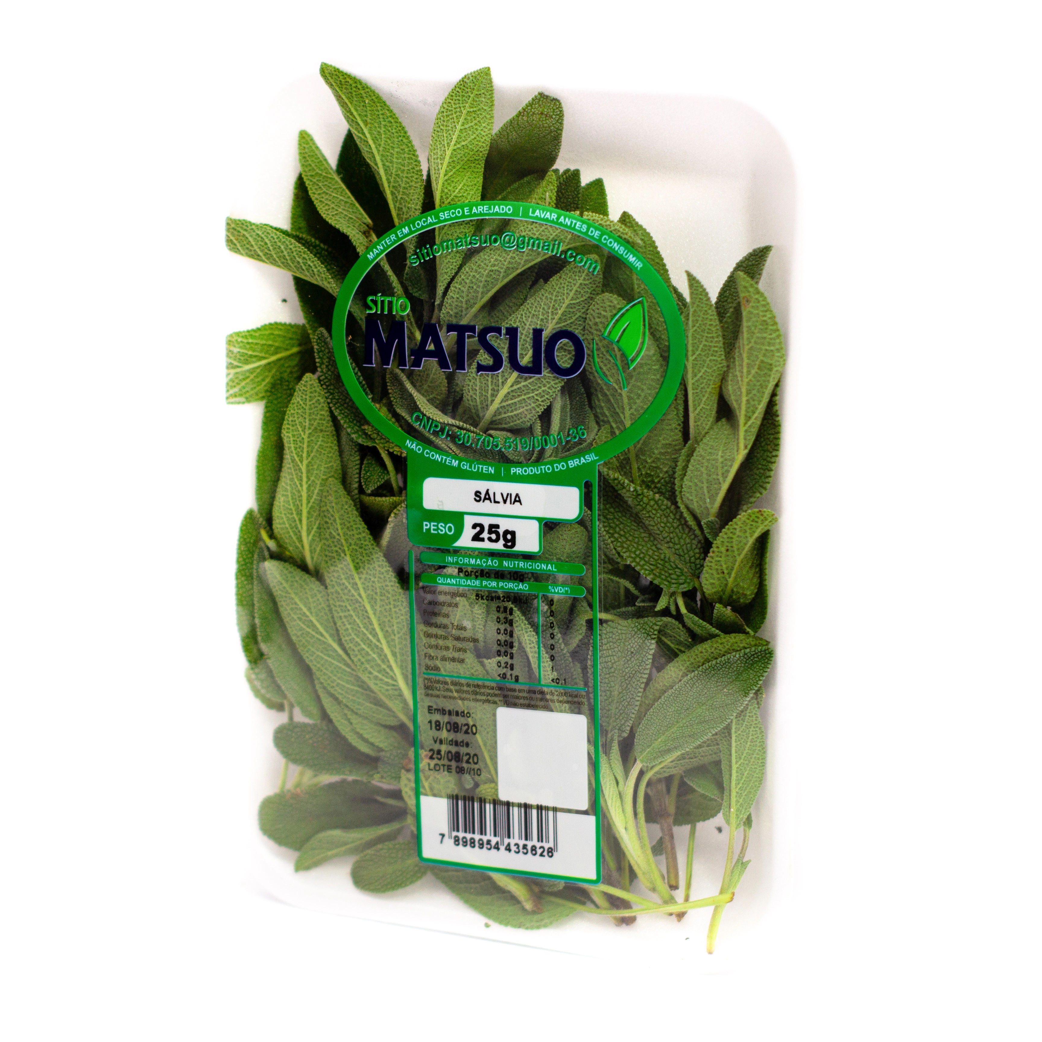 Salvia Matsuo Und