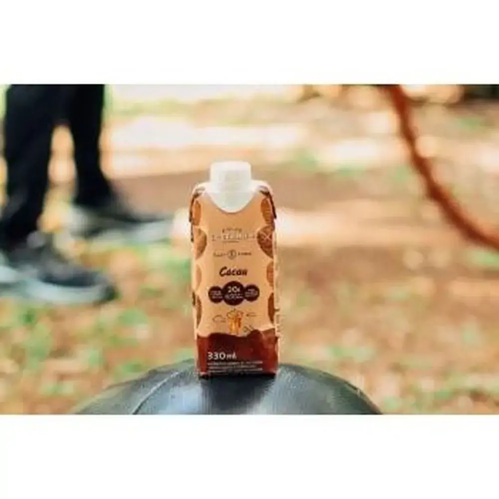 Bebida Cast Cacau A Tal Da Castanha 1l