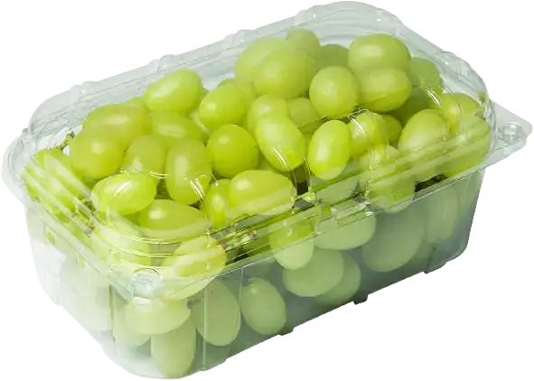 Uva Thompson Gota De Mel 500gr