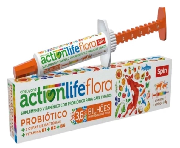 Stick Fit Spin Pet 50g Melao Couve Gergelim