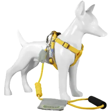 Peitoral Au Yellow