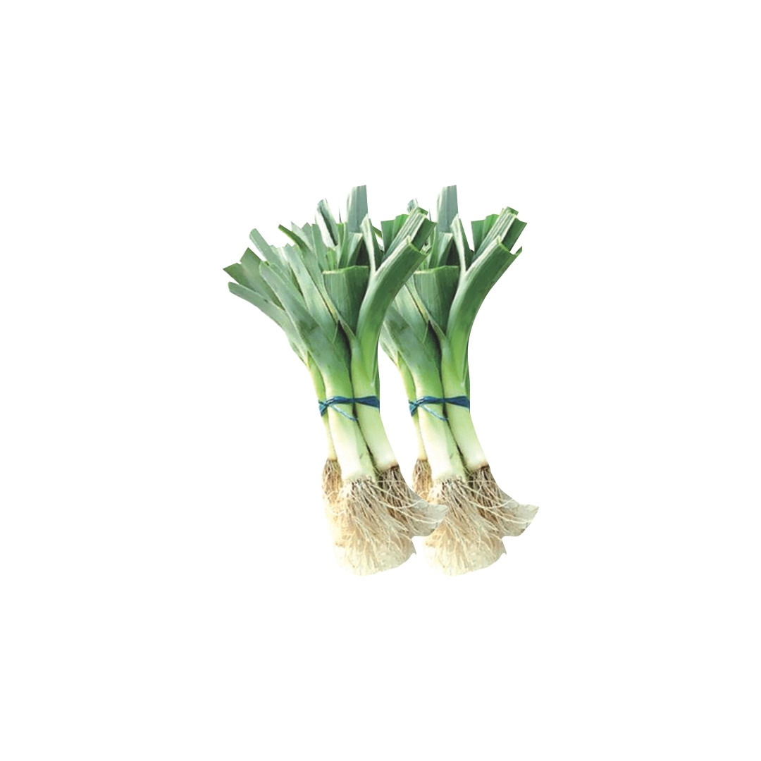 Alho Poro Vida Verde Und