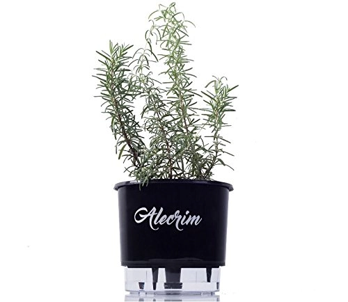 Vaso Raiz Autoirrigavel 02 Preto