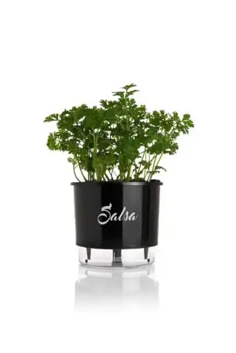 Vaso Raiz Autoirrigavel 03 Preto Salsa