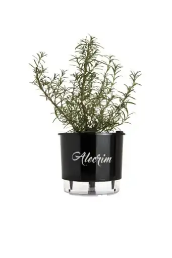 Vaso Raiz Autoirrigavel 03 Preto Alecrim