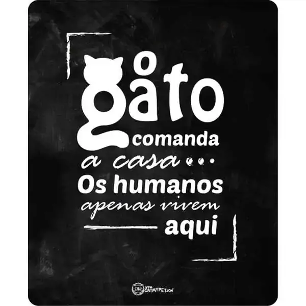 Placa Para Decoracao Nao Repare Na Bagunca