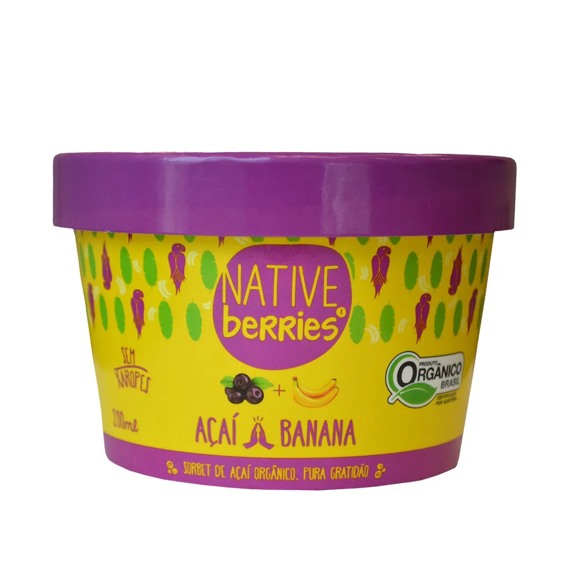 Sorbet de Açaí com Banana Native Berries Orgânico 200ml