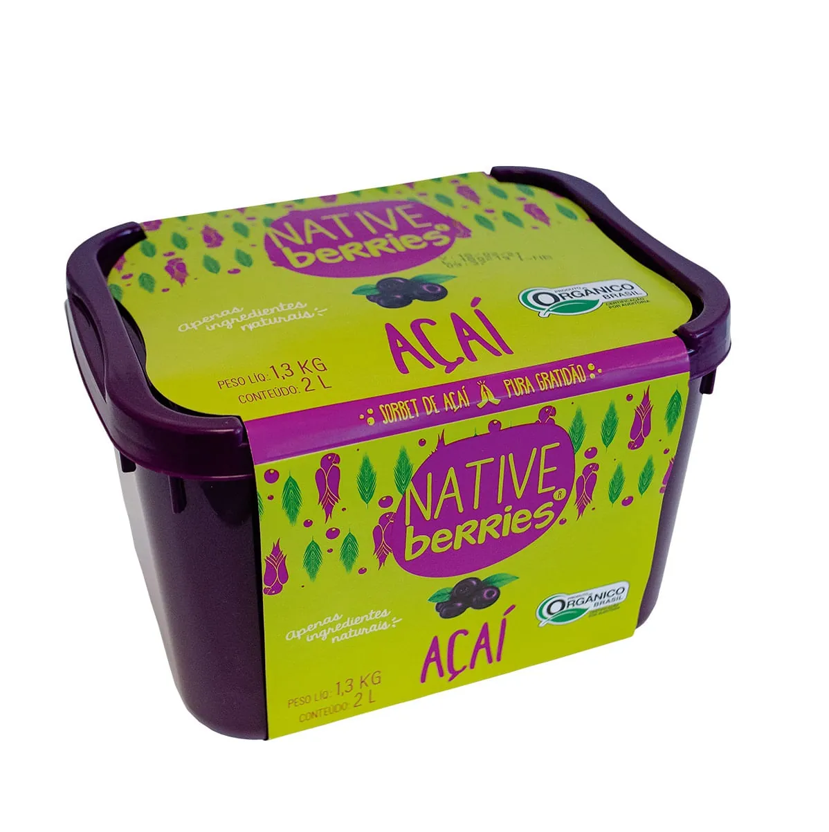 Sorbet de Açaí Native Berries Orgânico 2 Litros