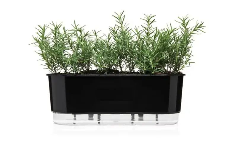 Jardineira Raiz Autoirrigavel Preto