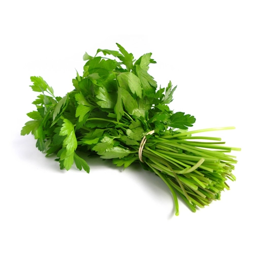 Coentro Whm Verduras Un