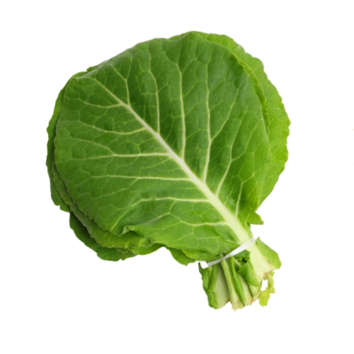 Couve Manteiga Whm Verduras Un