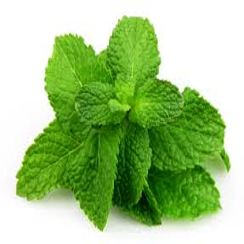 Hortela Whm Verduras Un