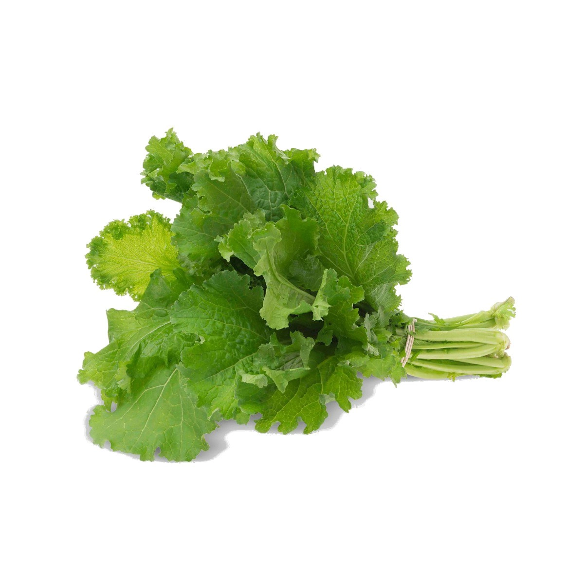 Mostarda Whm Verduras Un