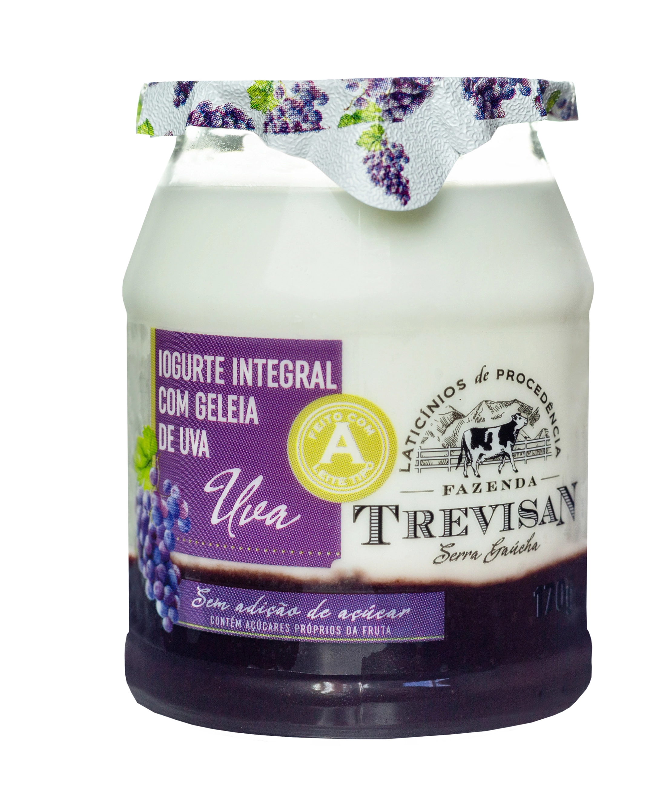 Iogurte Trevisan Int