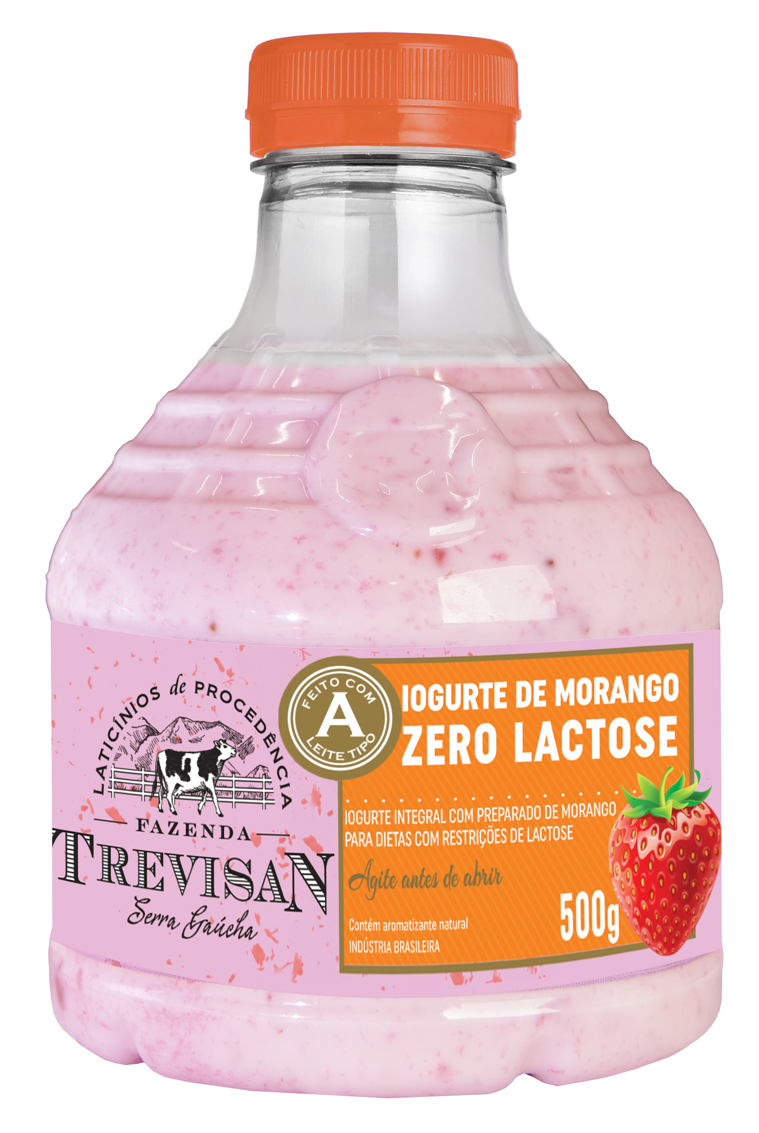 Iog Trevisan Tipo A Morango S Lac 500g