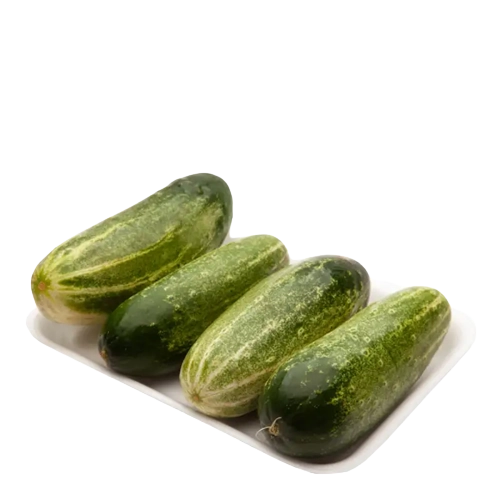 Feira Pepino Rubi Santa Rita 350g
