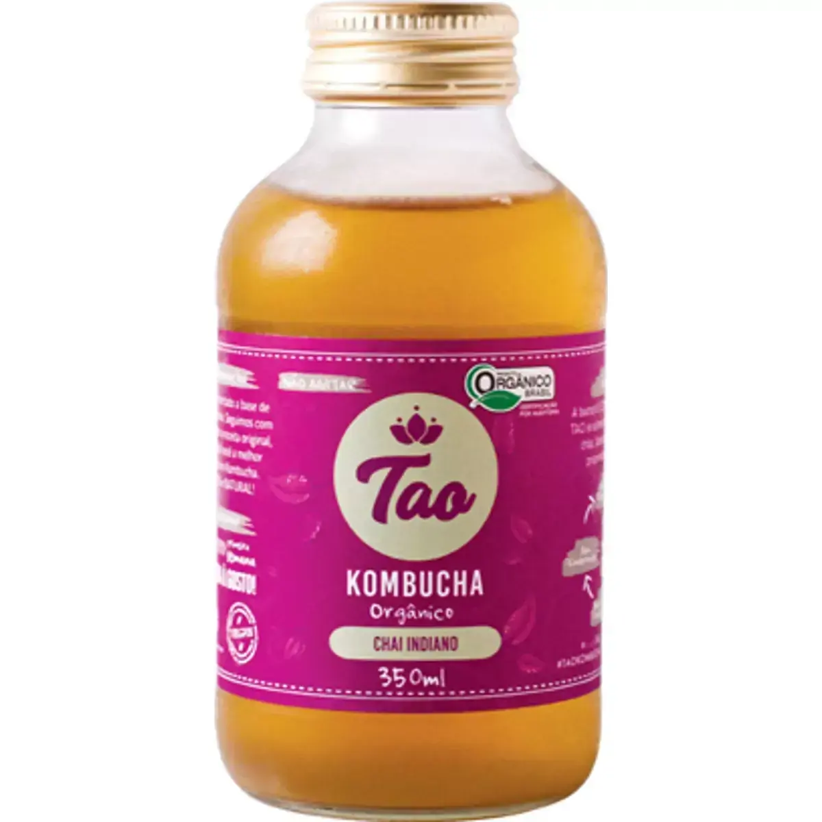 Chá TAO Kombucha Sabor Chai Indiano 350ml