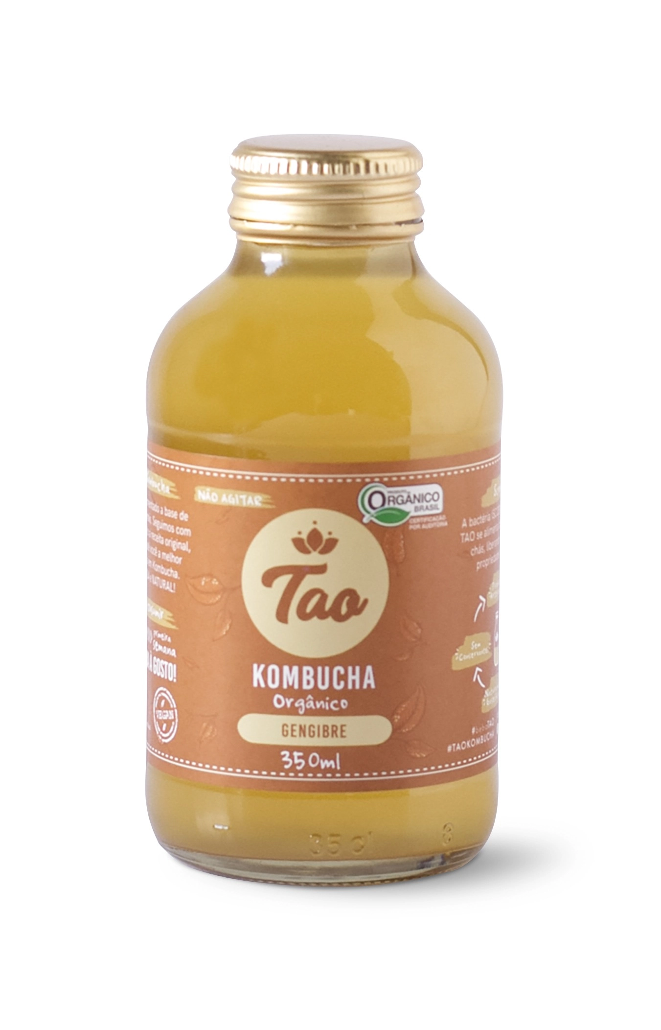 Kombucha Orgânica Gengibre Tao Garrafa 350ml