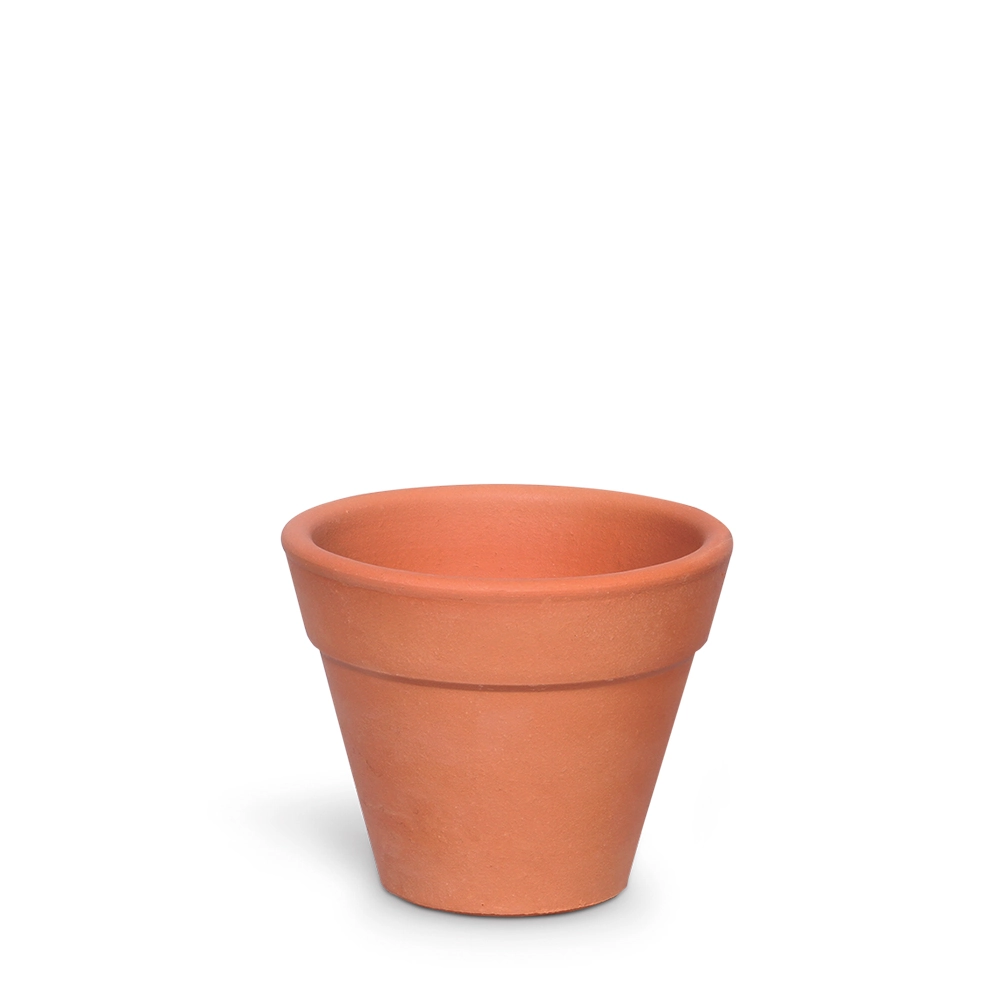Vaso Cermico Comum 2