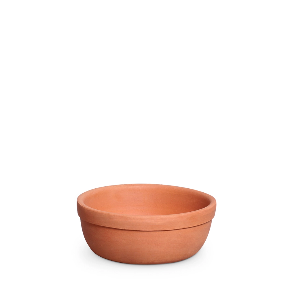 Vaso Cermico Suculenta 2