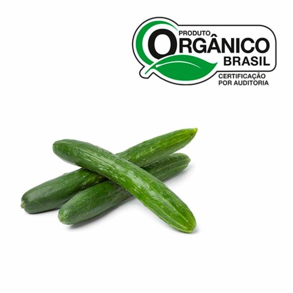 Org Pepino Japones Org Nutriens 600gr