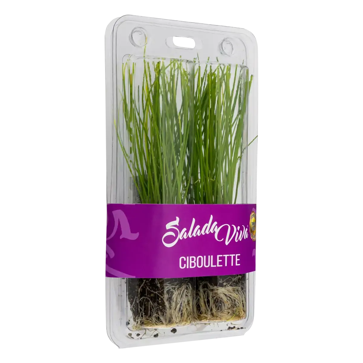 Ciboulette Salada Viva Kit 2 Unidades