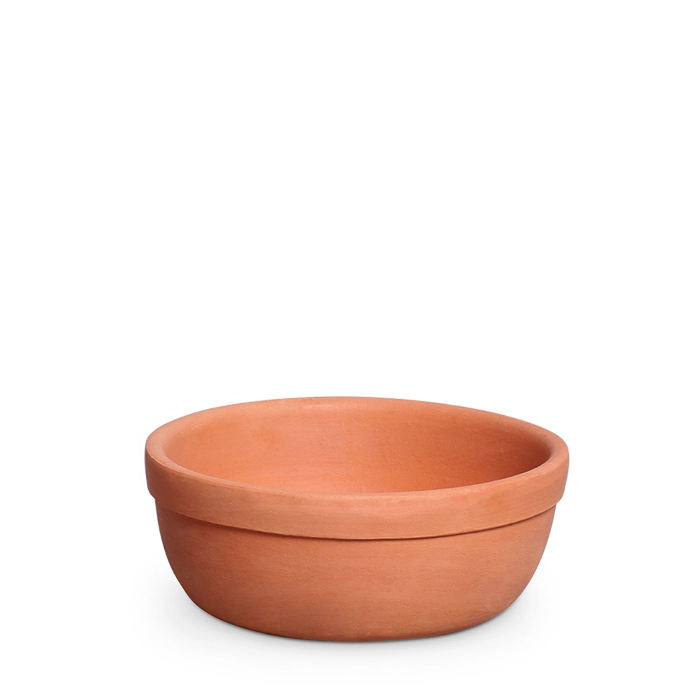 Vaso Ceramico Suculenta 1