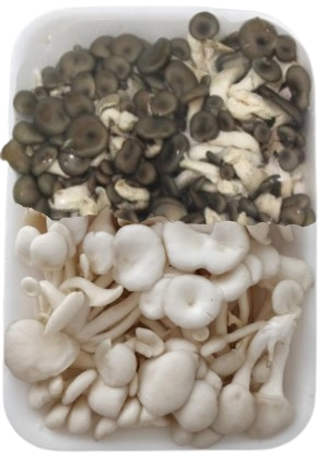 Mix Shimeji Branco Preto 200g