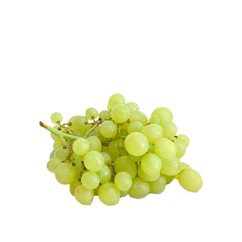 Uva Thompson Cumbuca