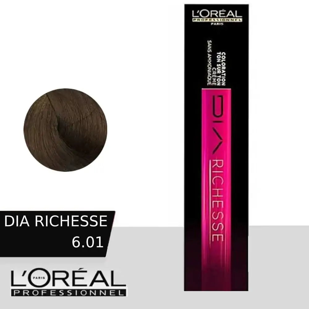 Tint Dia Richesse N 6 01 Marrom Trufado