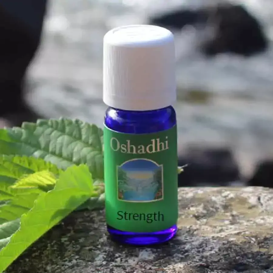 Blend de Óleos Essenciais Strength 10ml Oshadhi