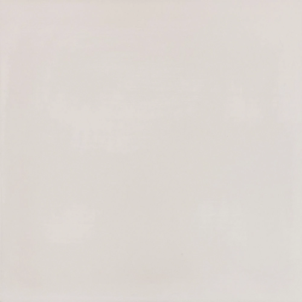 Porcelanato Monocolor Cinza Polido Borda Reta Interno 62,5x62,5cm Platinum Elizabeth