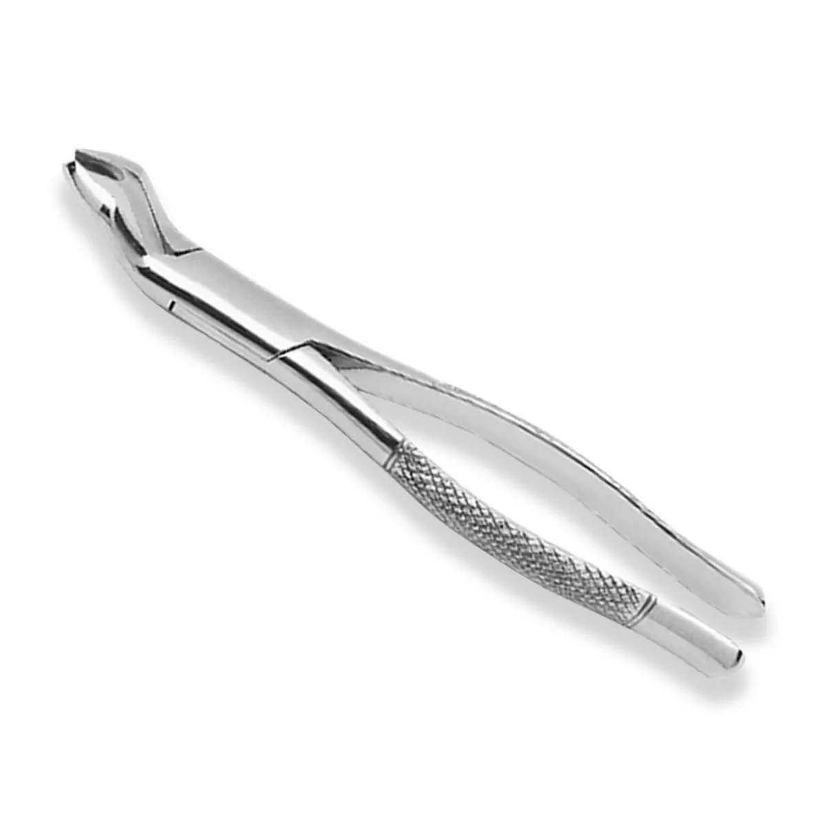 Forceps Odontológico Adulto - Golgran - Fórceps Odontológico Adulto 53L - Golgran