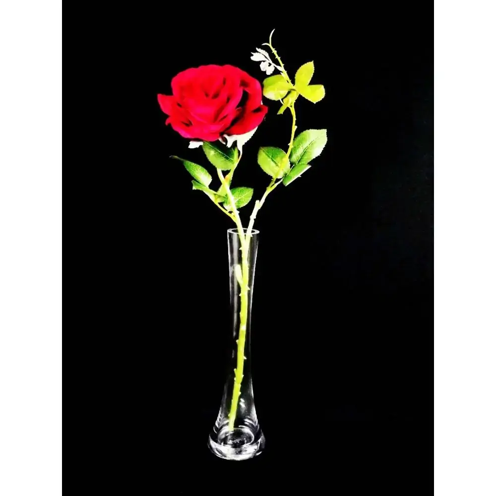 Vaso Vidro Solitario By Casa