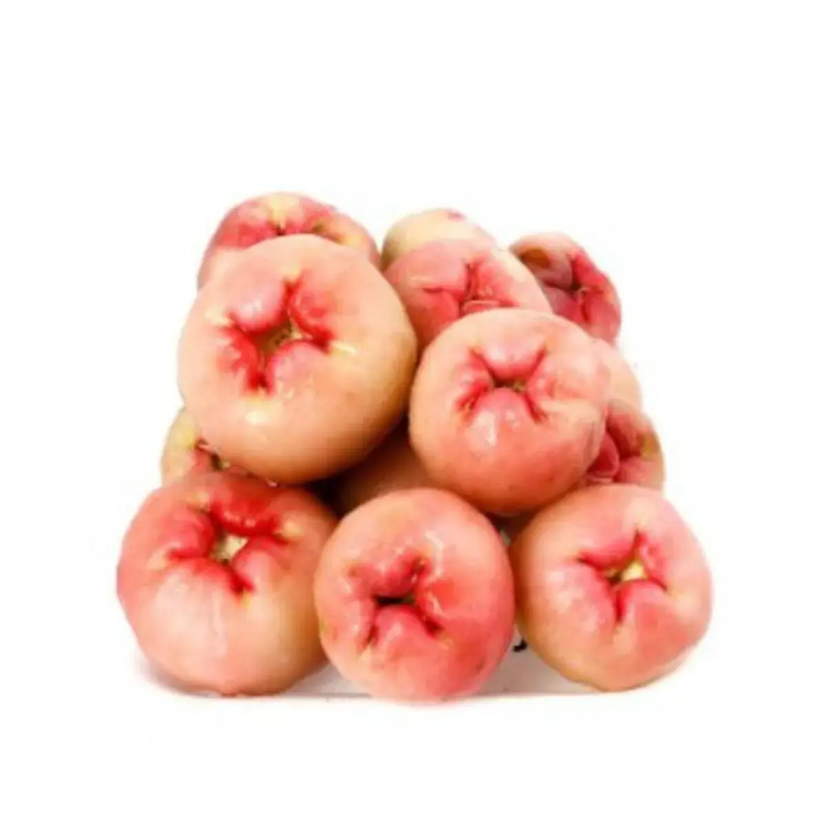 Jambo Rosa Bandeija 400gr