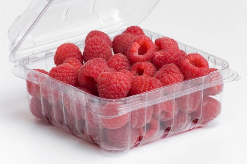 Framboesa Bandeja 500g