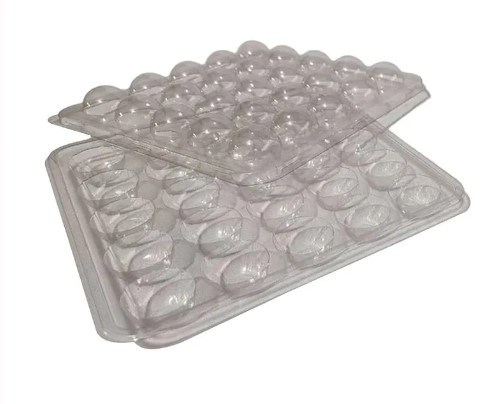 Flipball 25 Cavidades Cristal 5un 0443 Flip