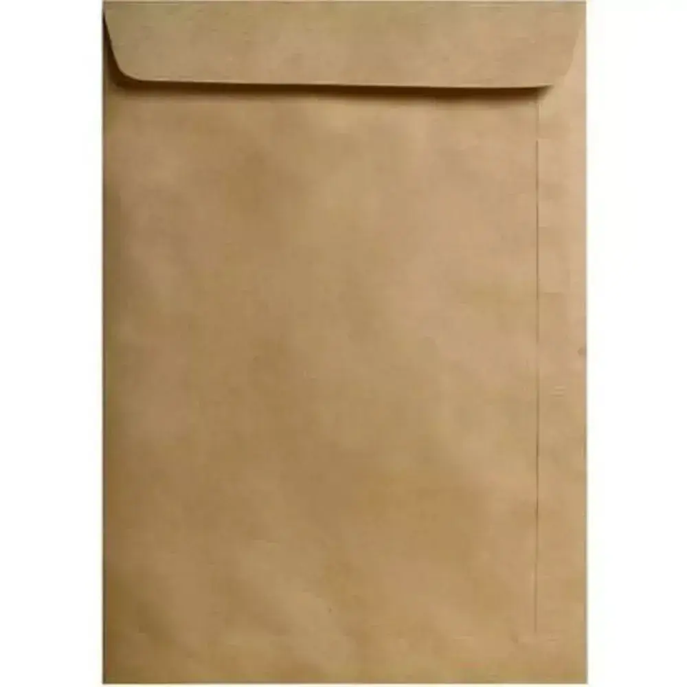 Envelope Saco Kraft Natural 229x324 40skn C
