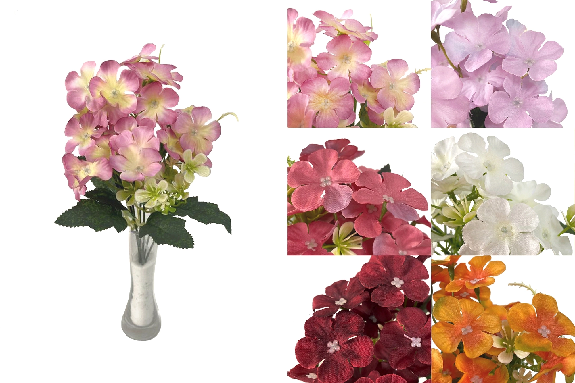 Mini Buq Hortensia X6 33