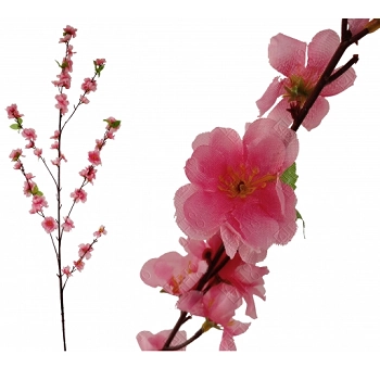 Pessegueiro C 60 Flores 03752 H8