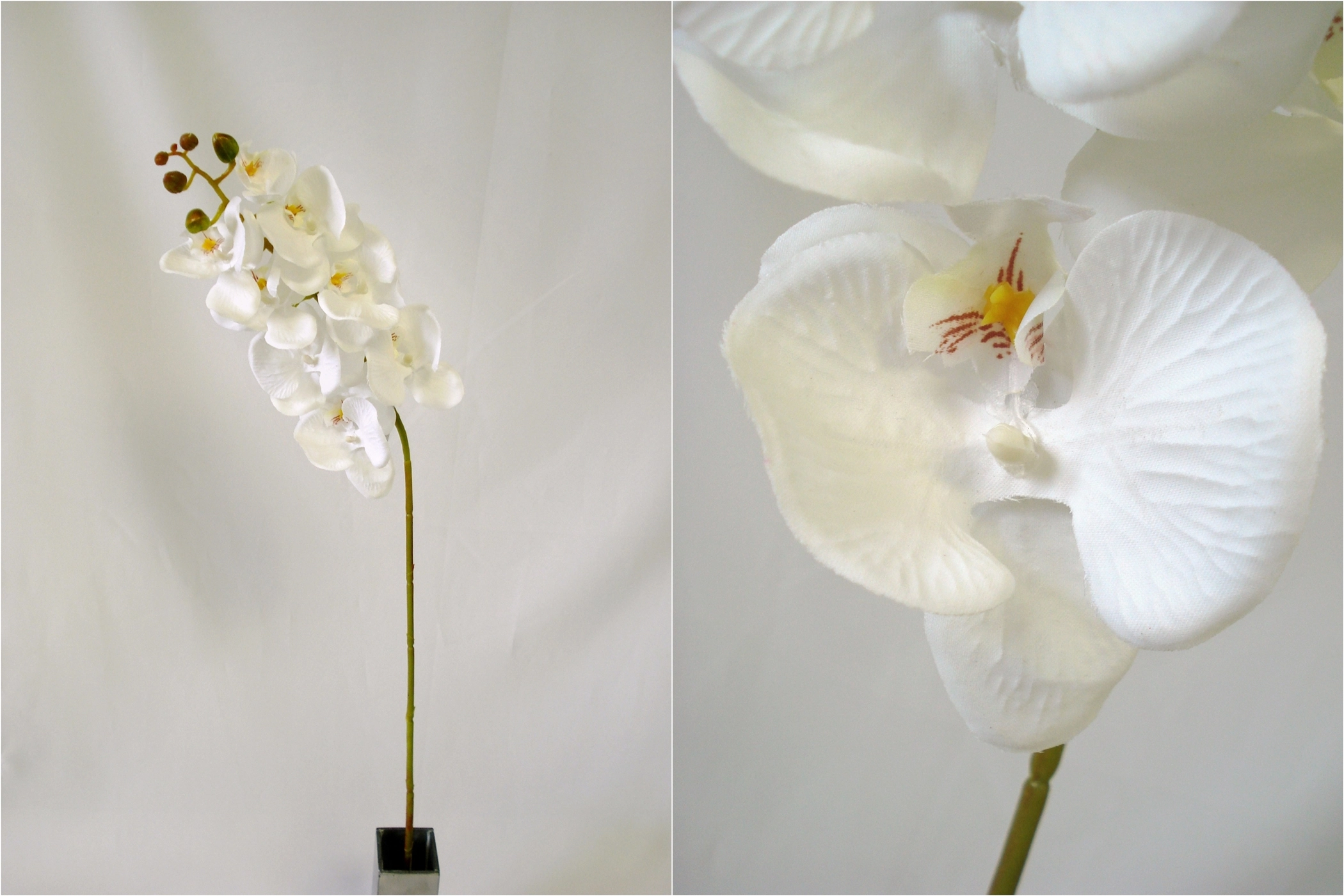 Orquidea Toque Aveludada Branca X8 78cm 03831w H8
