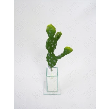 Suculenta Cacto 29cm Ref.08772 H8
