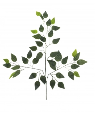 Ficus Toque Natural X42 62cm Ref.e/0630 H8