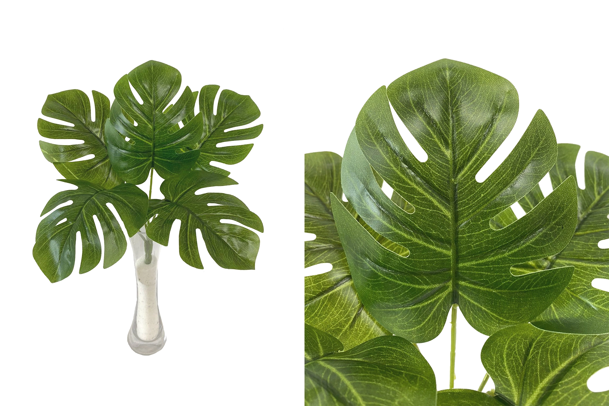 Buque Costela Adao X5 34cm E 0673 H8 Comercio