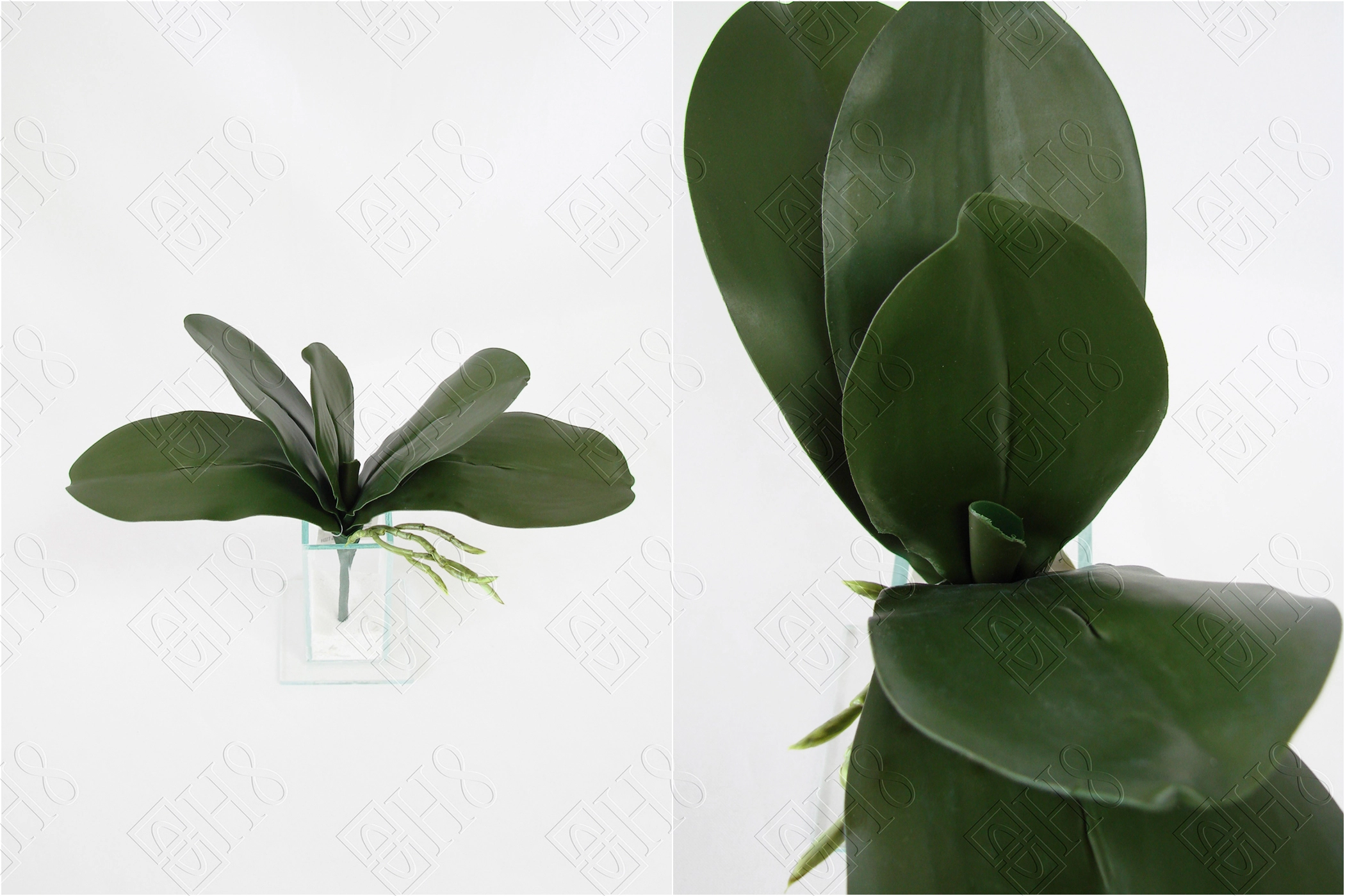 Folha De Orquidea X5 26cm Ref.e/0708 H8