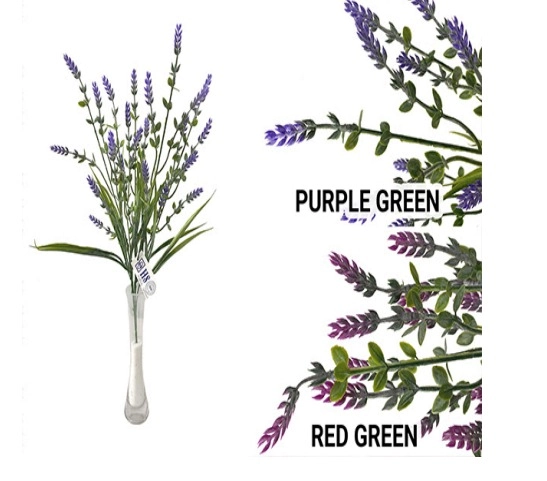 Lavanda Nevada X5 E0721 H8